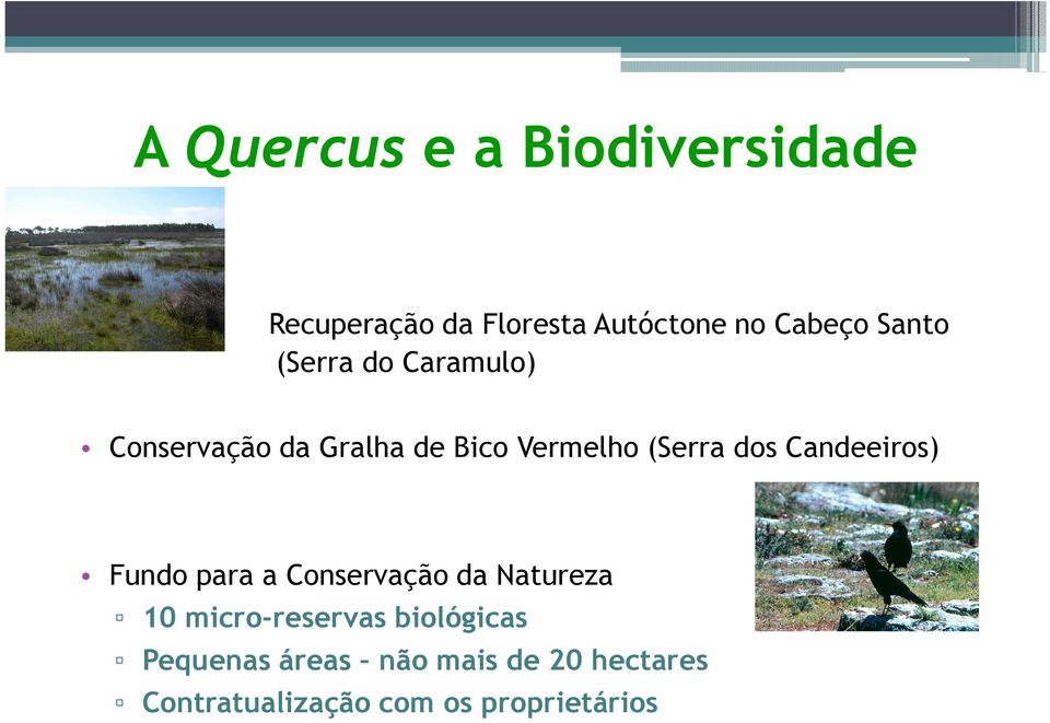 Candeeiros) Fundo para a Conservação da Natureza 10 micro-reservas