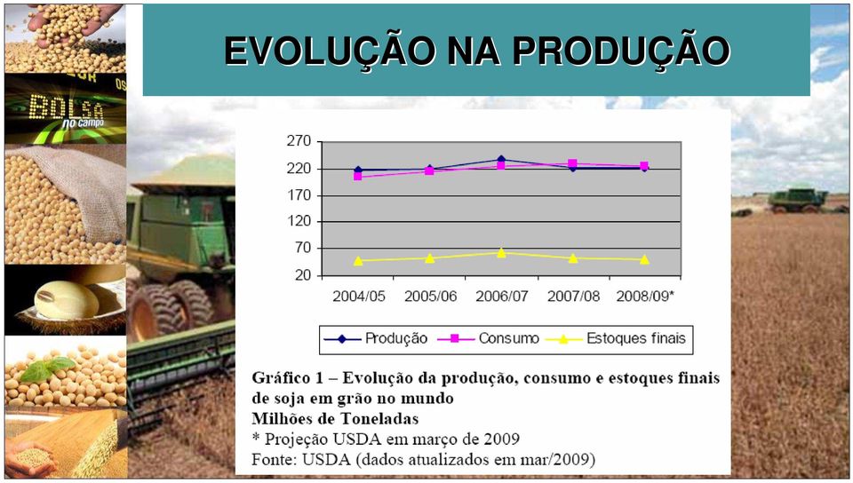 PRODUÇÃO