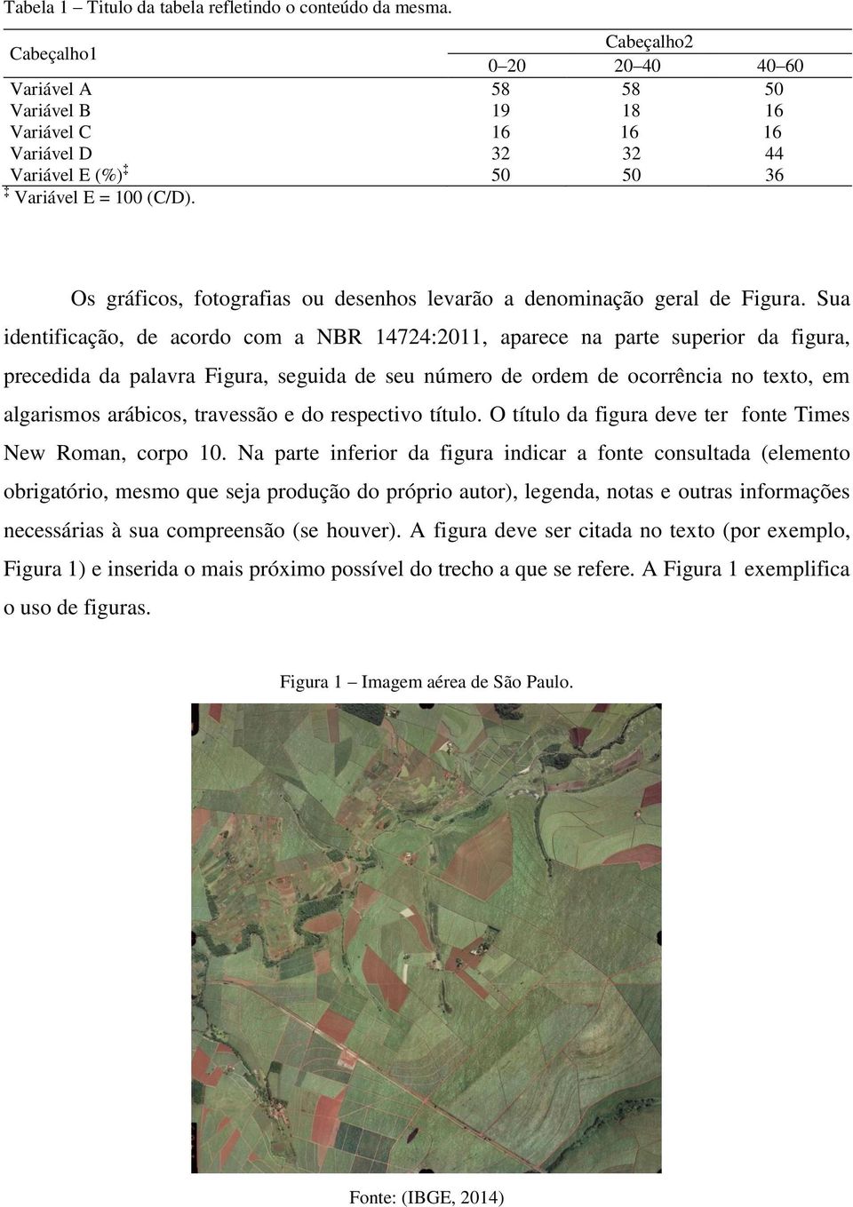 Os gráficos, fotografias ou desenhos levarão a denominação geral de Figura.