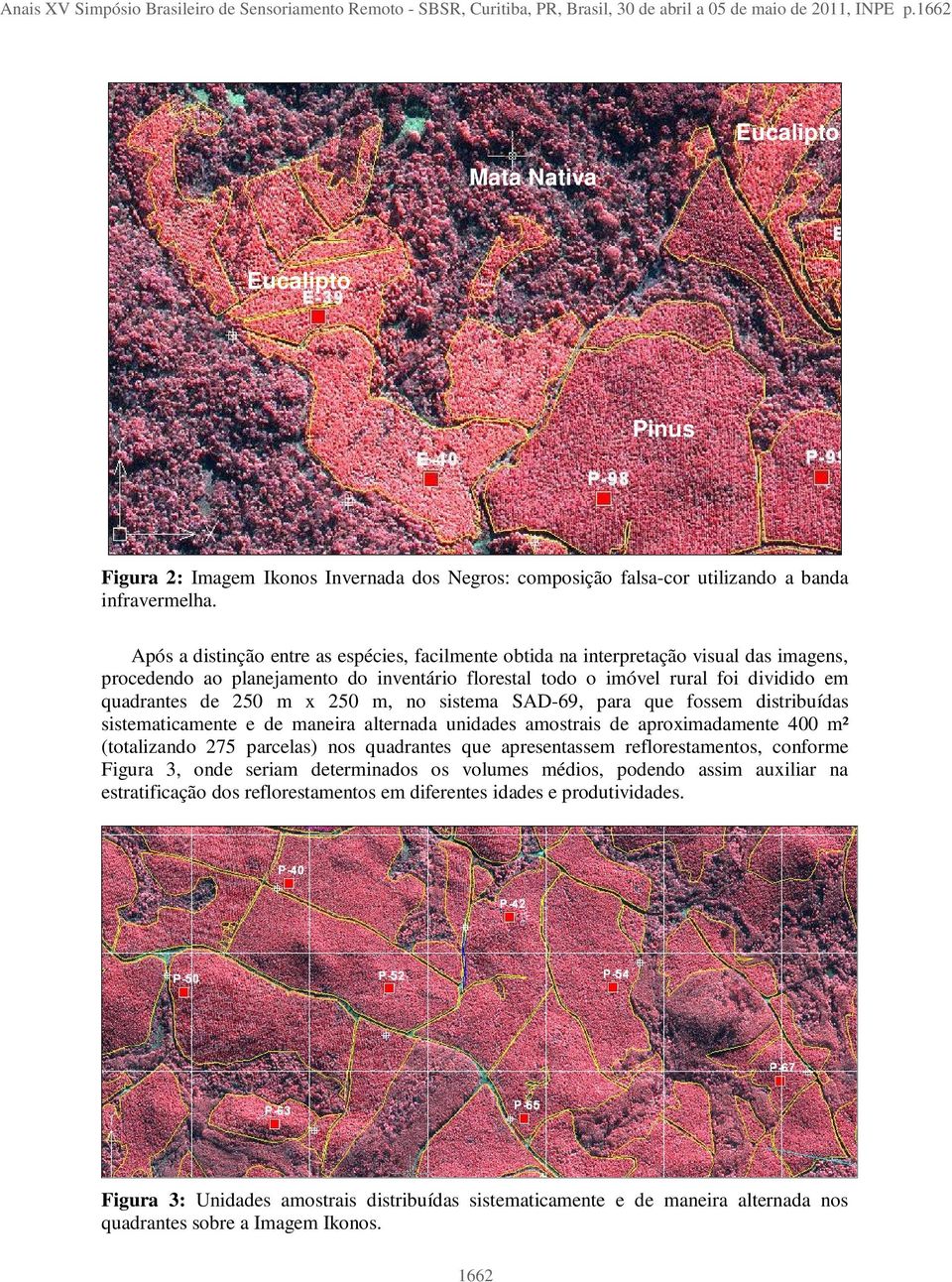 Após a distinção entre as espécies, facilmente obtida na interpretação visual das imagens, procedendo ao planejamento do inventário florestal todo o imóvel rural foi dividido em quadrantes de 250 m x