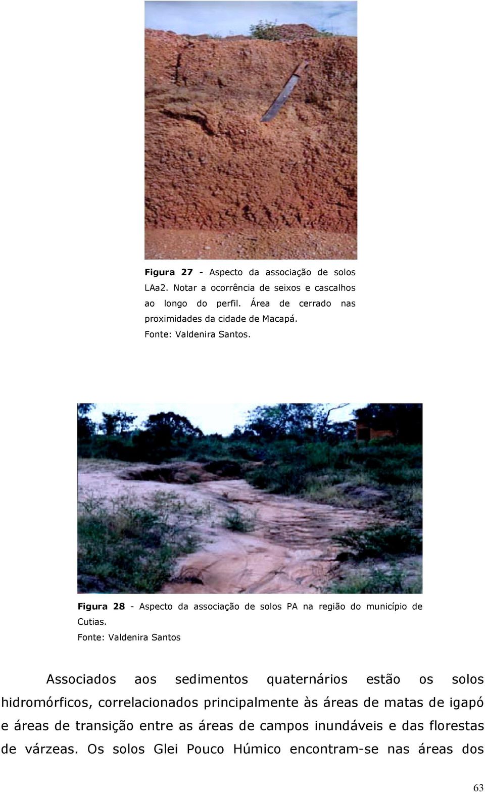 Figura 28 - Aspecto da associação de solos PA na região do município de Cutias.