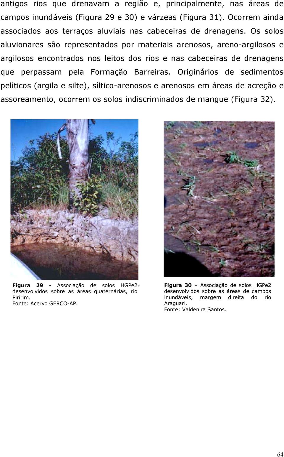 Originários de sedimentos pelíticos (argila e silte), síltico-arenosos e arenosos em áreas de acreção e assoreamento, ocorrem os solos indiscriminados de mangue (Figura 32).