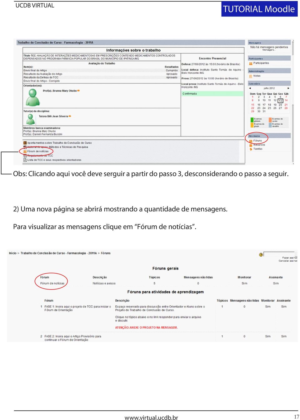 2) Uma nova página se abrirá mostrando a quantidade de