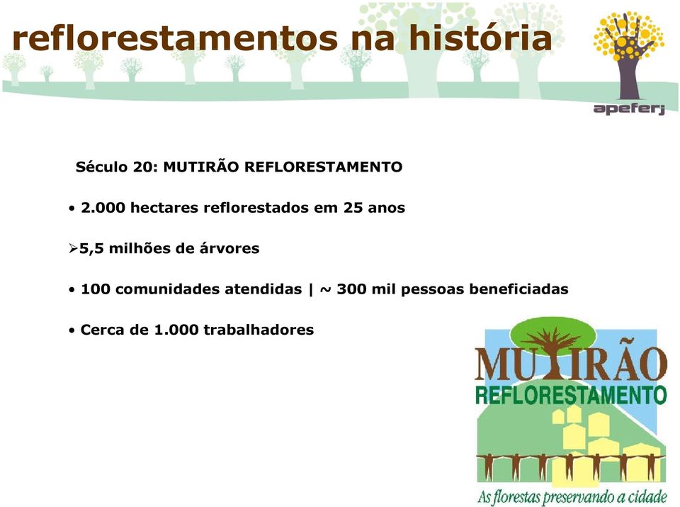 000 hectares reflorestados em 25 anos 5,5 milhões de