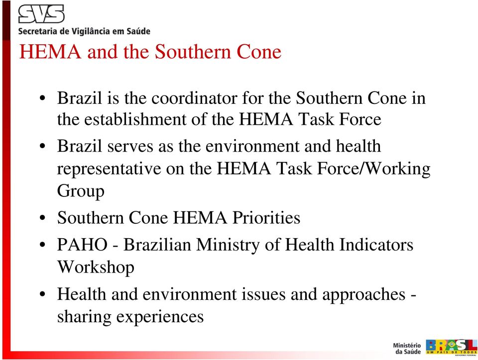 representative on the HEMA Task Force/Working Group Southern Cone HEMA Priorities PAHO -