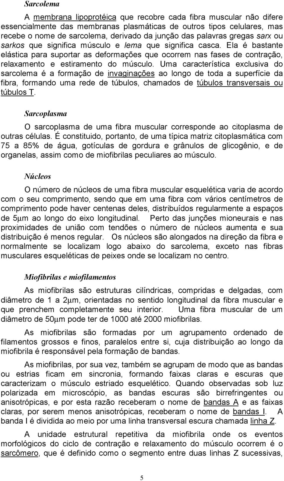 Ela é bastante elástica para suportar as deformações que ocorrem nas fases de contração, relaxamento e estiramento do músculo.