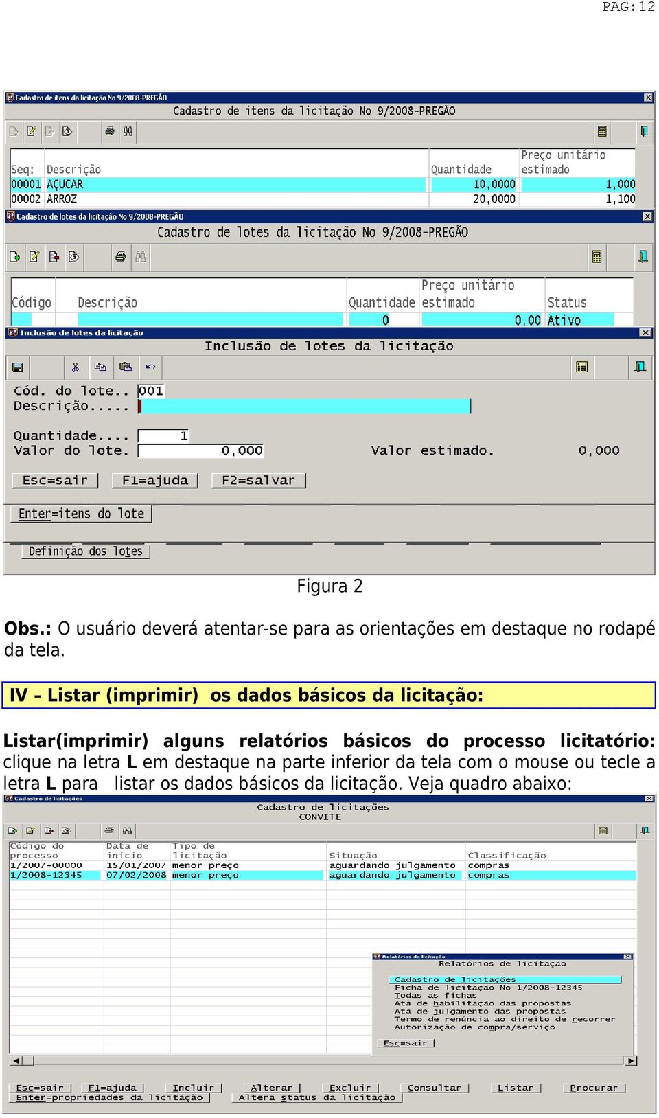 IV Listar (imprimir) os dados básicos da licitação: Listar(imprimir) alguns relatórios