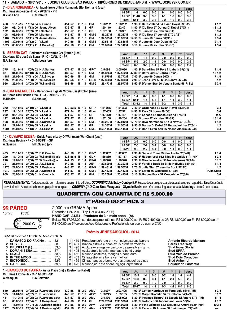 451 57 B 1,5 GM 1:28202 1:28202 1,90 1º Deutschland 54 Evian Royal 53(3/2) 1 1/2 256 03/10/15 11º(13) 06 Jeane Alves 436 57 B 1,8 GP 1:50119 1:52421 11,80 1º Xic New 57 Donna Di Dubai 57(G1) 13 1/2