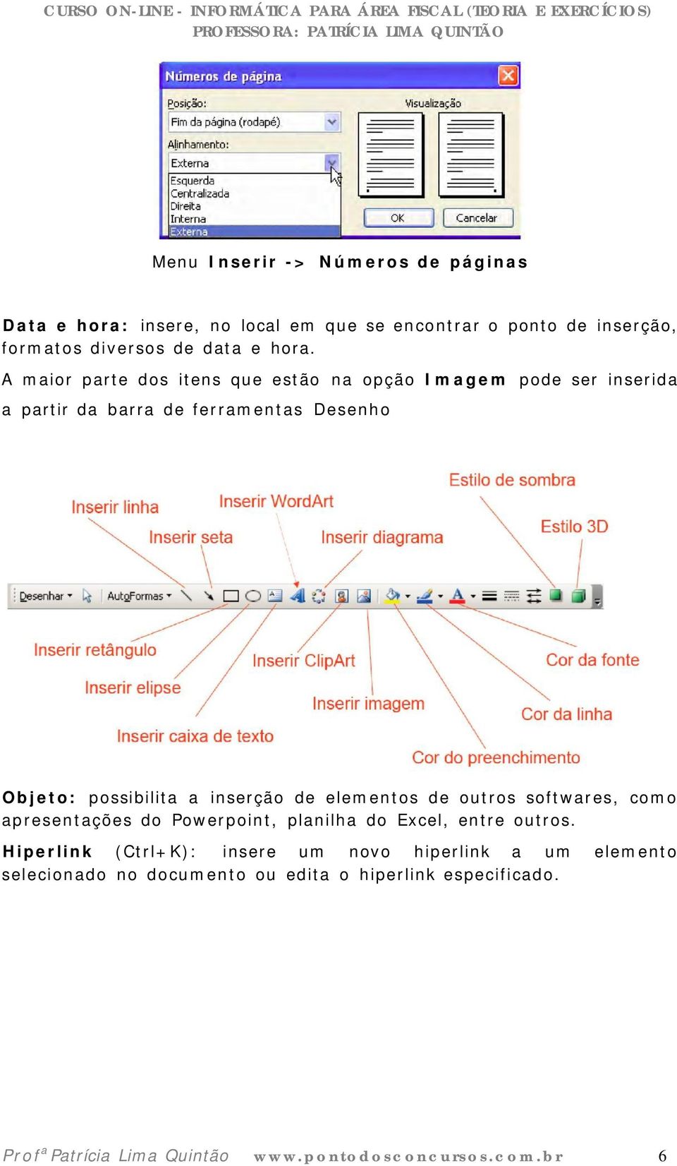 de elementos de outros softwares, como apresentações do Powerpoint, planilha do Excel, entre outros.