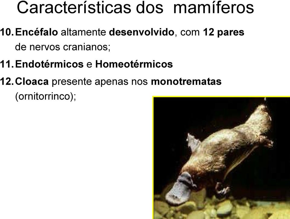 de nervos cranianos; 11.