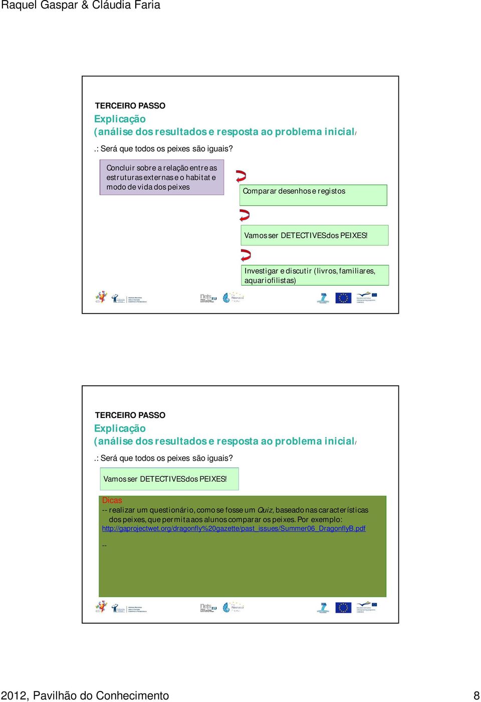 Investigar e discutir (livros, familiares, aquariofilistas) TERCEIRO PASSO Explicação (análise dos resultados e resposta ao problema inicial/ Vamos ser DETECTIVES dos