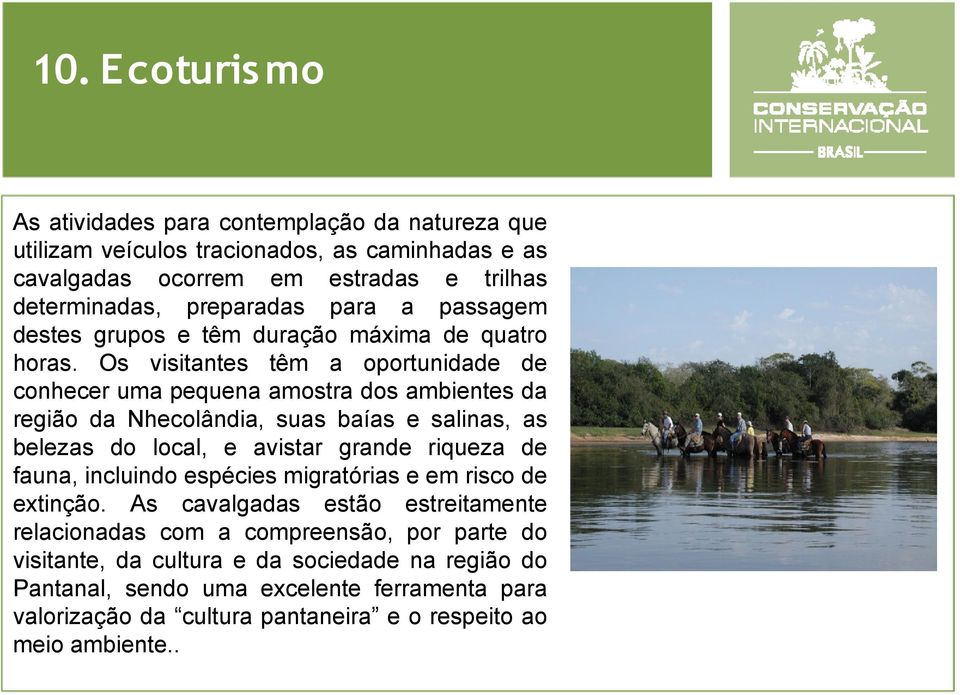 Os visitantes têm a oportunidade de conhecer uma pequena amostra dos ambientes da região da Nhecolândia, suas baías e salinas, as belezas do local, e avistar grande riqueza de