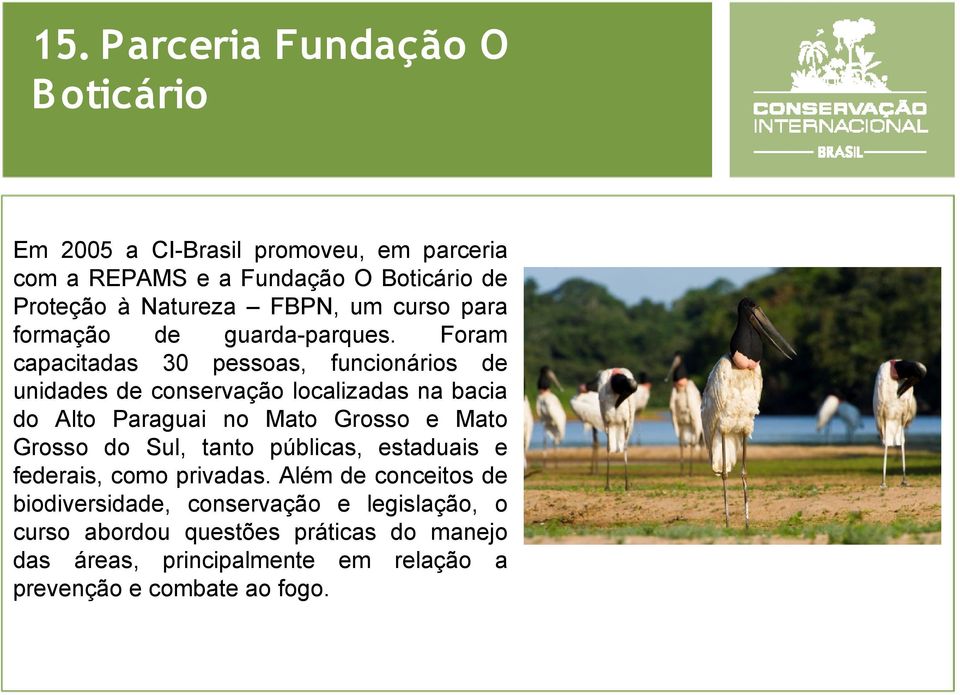 Foram capacitadas 30 pessoas, funcionários de unidades de conservação localizadas na bacia do Alto Paraguai no Mato Grosso e Mato Grosso do