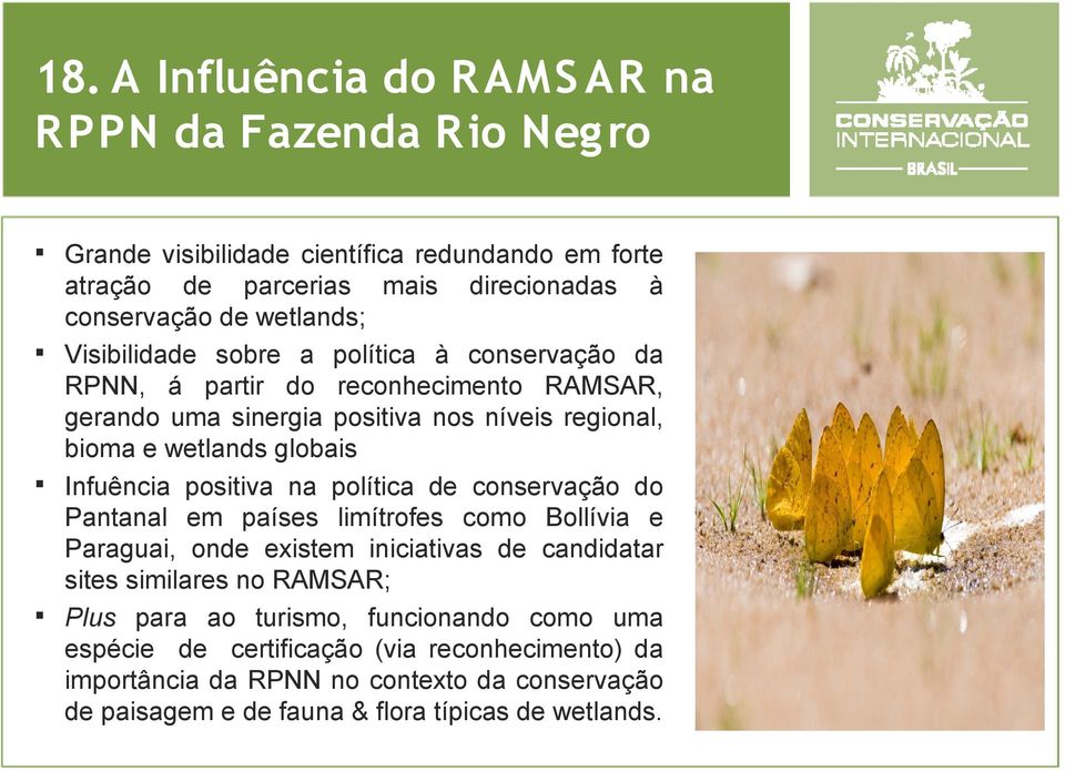 Infuência positiva na política de conservação do Pantanal em países limítrofes como Bollívia e Paraguai, onde existem iniciativas de candidatar sites similares no RAMSAR; Plus