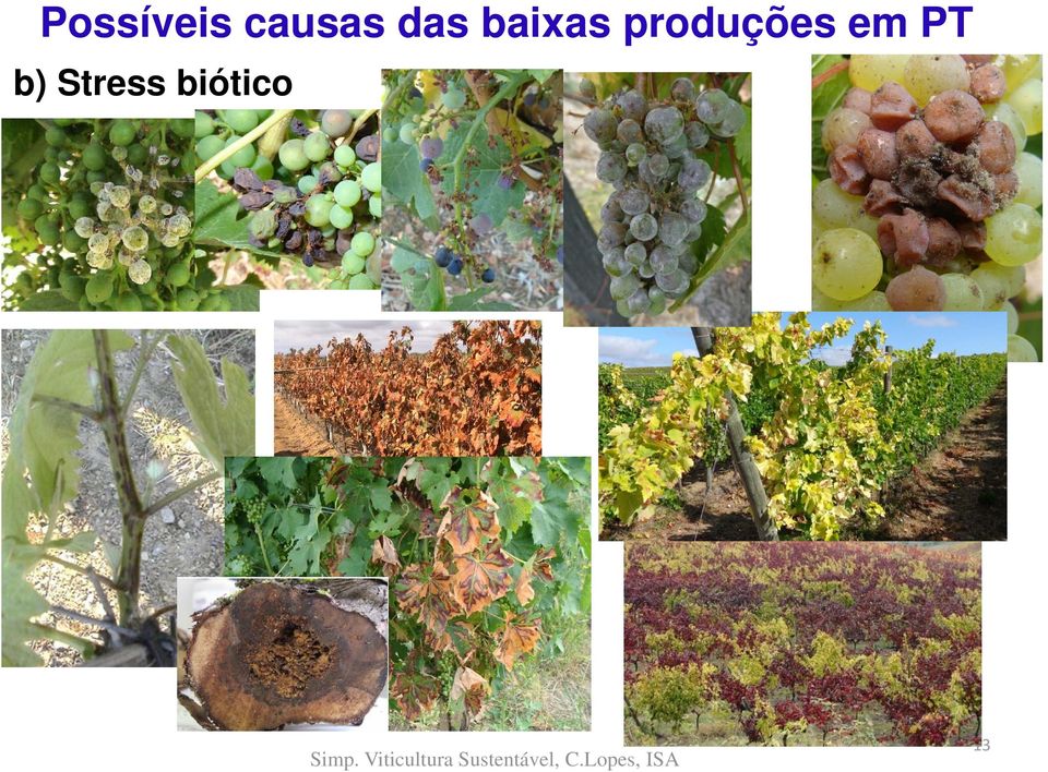 baixas