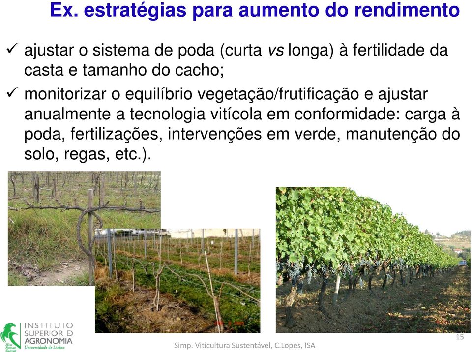 vegetação/frutificação e ajustar anualmente a tecnologia vitícola em