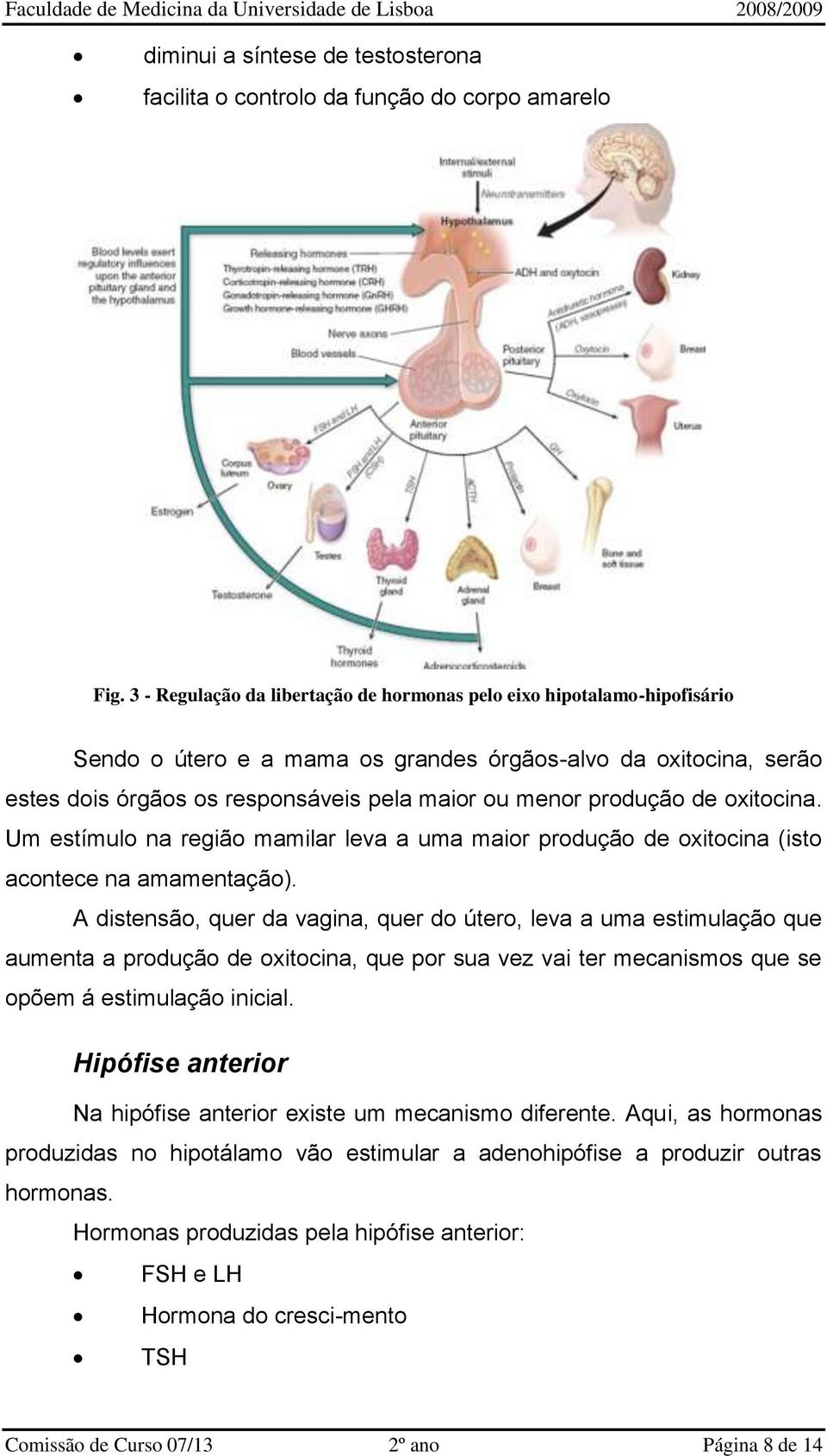 produção de oxitocina. Um estímulo na região mamilar leva a uma maior produção de oxitocina (isto acontece na amamentação).