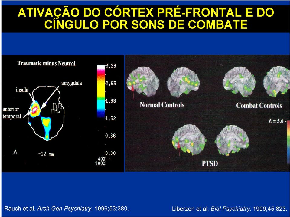 al. Arch Gen Psychiatry. 1996;53:380.