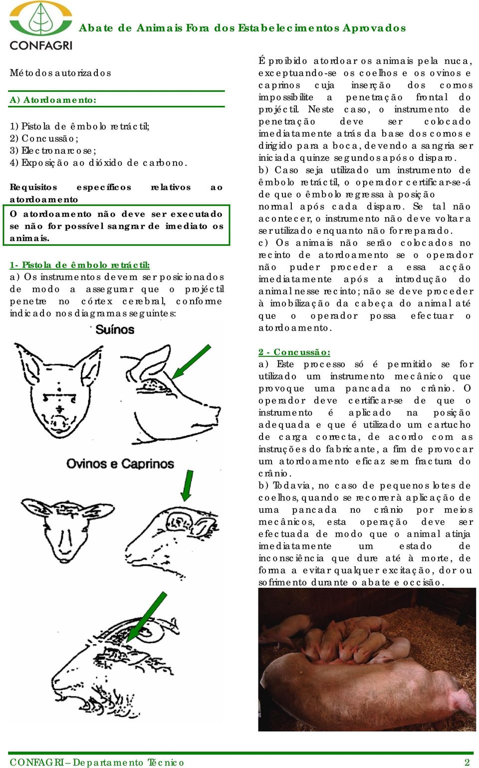 1- Pistola de êmbolo retráctil: a) Os instrumentos devem ser posicionados de modo a assegurar que o projéctil penetre no córtex cerebral, conforme indicado nos diagramas seguintes: É proibido