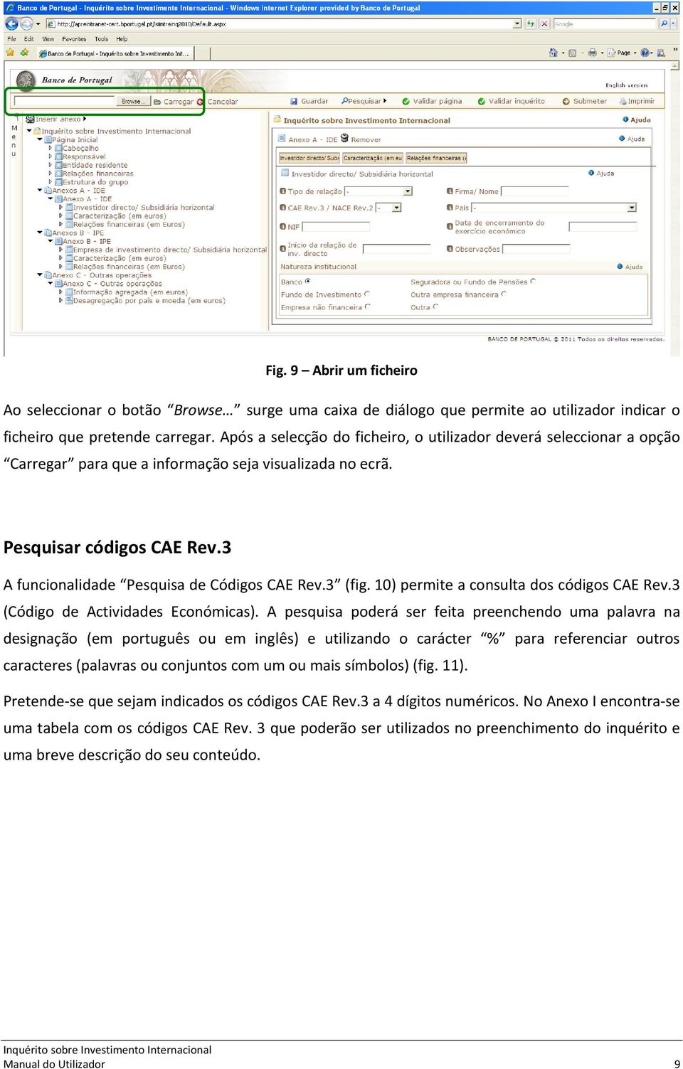 3 (fig. 10) permite a consulta dos códigos CAE Rev.3 (Código de Actividades Económicas).