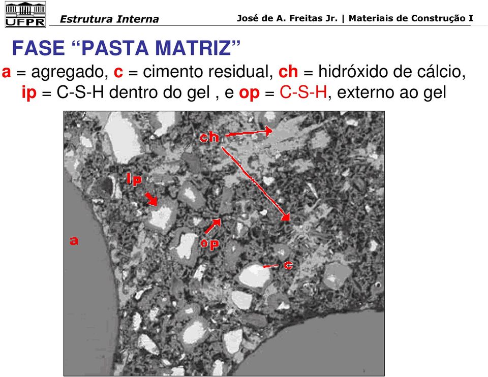 cálcio, ip = C-S-H dentro do