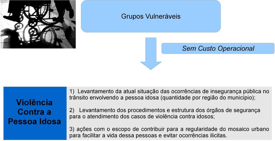 procedimentos e estrutura dos órgãos de segurança para o atendimento dos casos de violência contra idosos; 3) ações com o