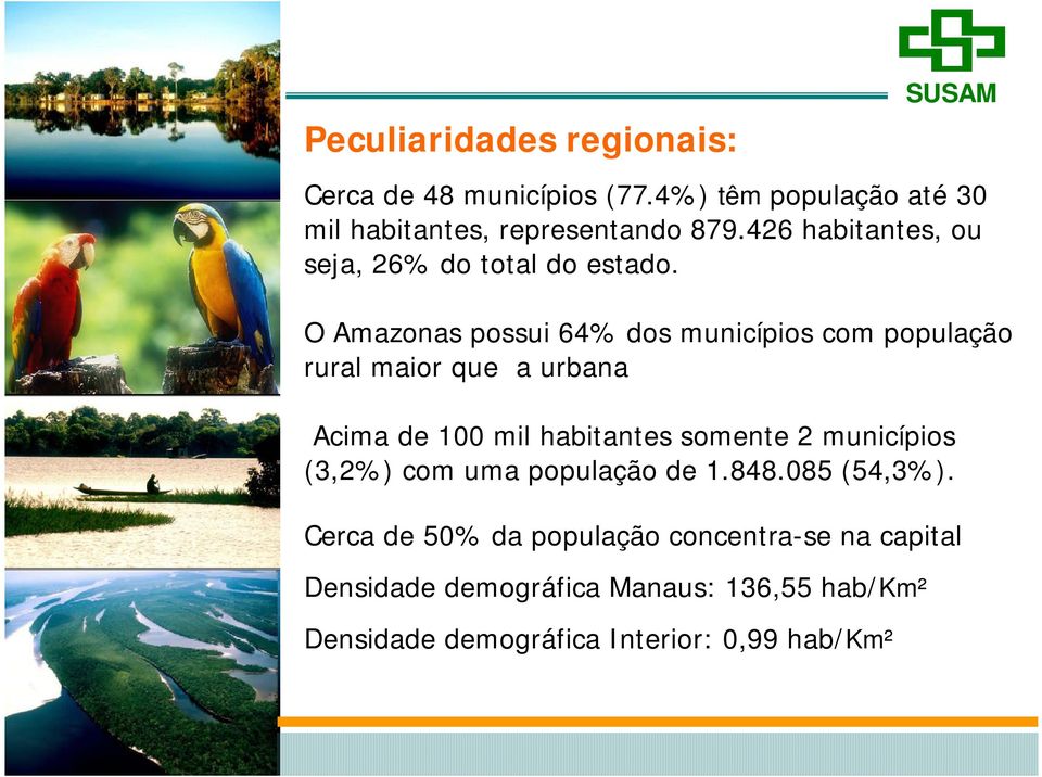 O Amazonas possui 64% dos municípios com população rural maior que a urbana Acima de 100 mil habitantes somente 2
