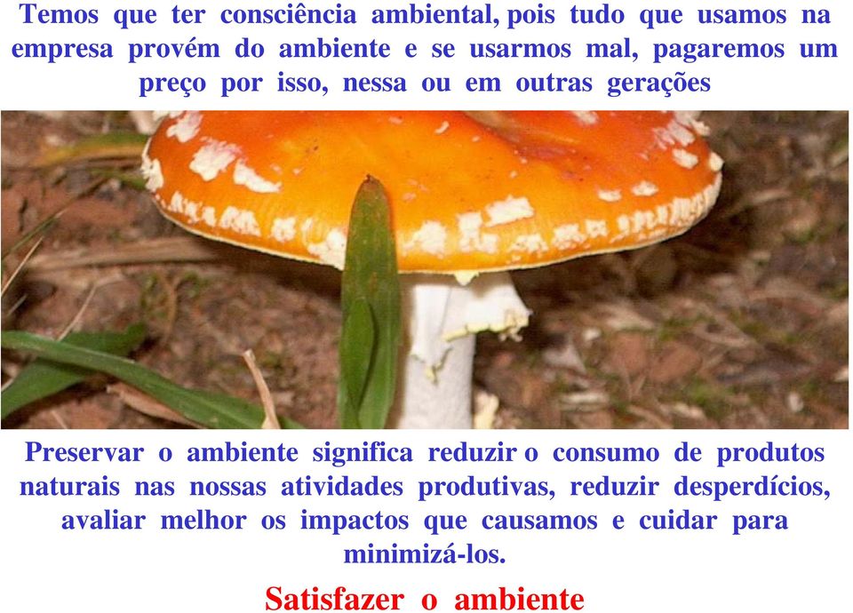 significa reduzir o consumo de produtos naturais nas nossas atividades produtivas, reduzir