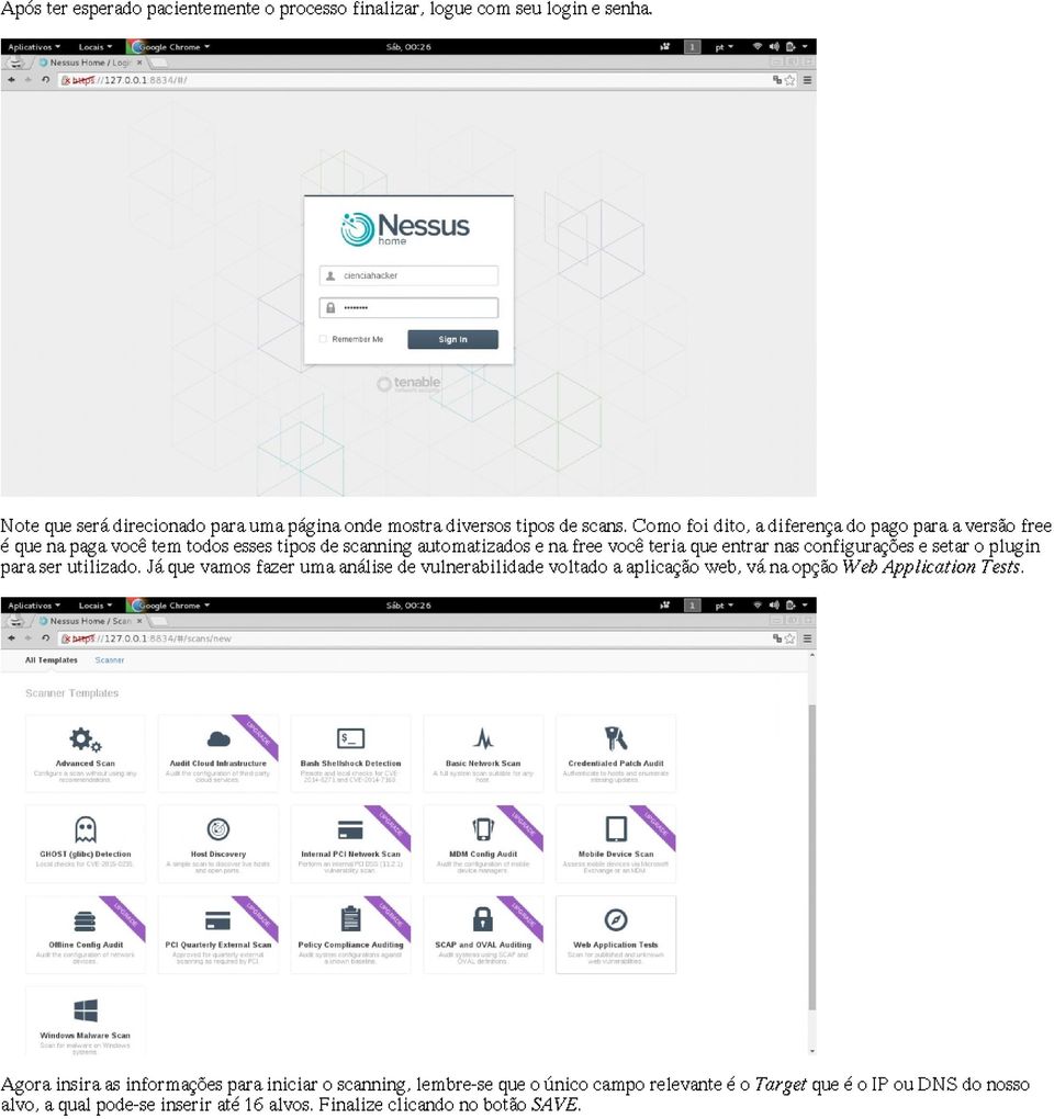 e setar o plugin para ser utilizado. Já que vamos fazer uma análise de vulnerabilidade voltado a aplicação web, vá na opção Web Application Tests.