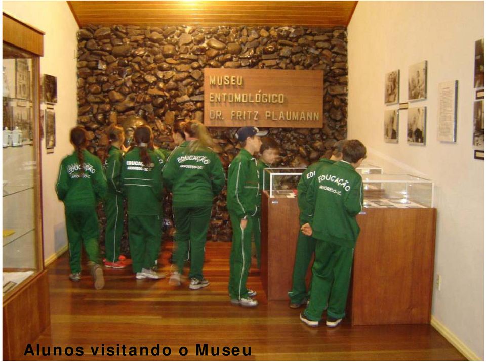 o Museu