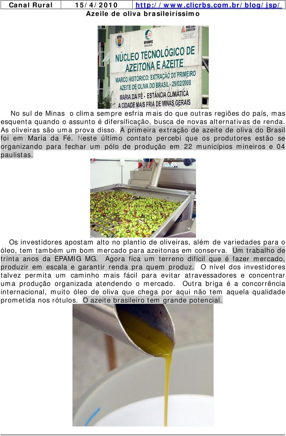 renda. As oliveiras são uma prova disso. A primeira extração de azeite de oliva do Brasil foi em Maria da Fé.