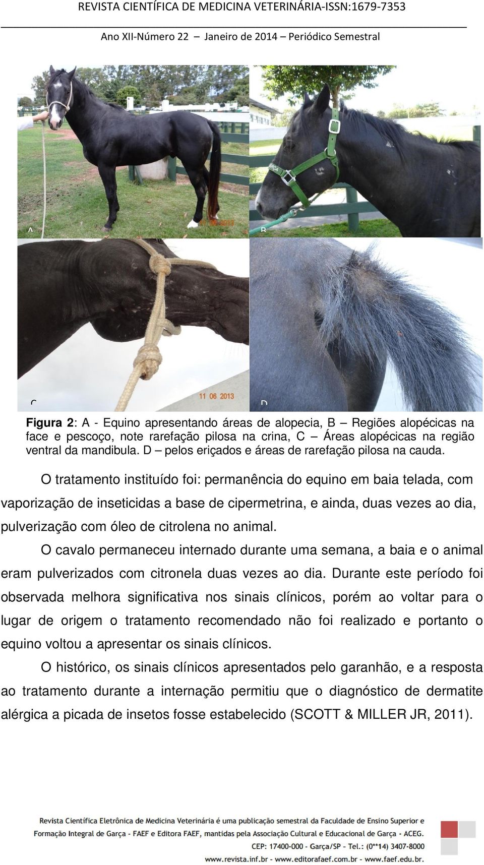 O tratamento instituído foi: permanência do equino em baia telada, com vaporização de inseticidas a base de cipermetrina, e ainda, duas vezes ao dia, pulverização com óleo de citrolena no animal.