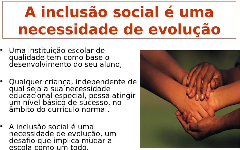 necessidade educacional especial, possa atingir um nível básico de sucesso, no âmbito do