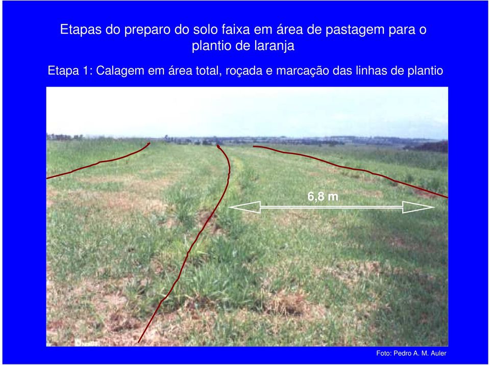 Calagem em área total, roçada e marcação