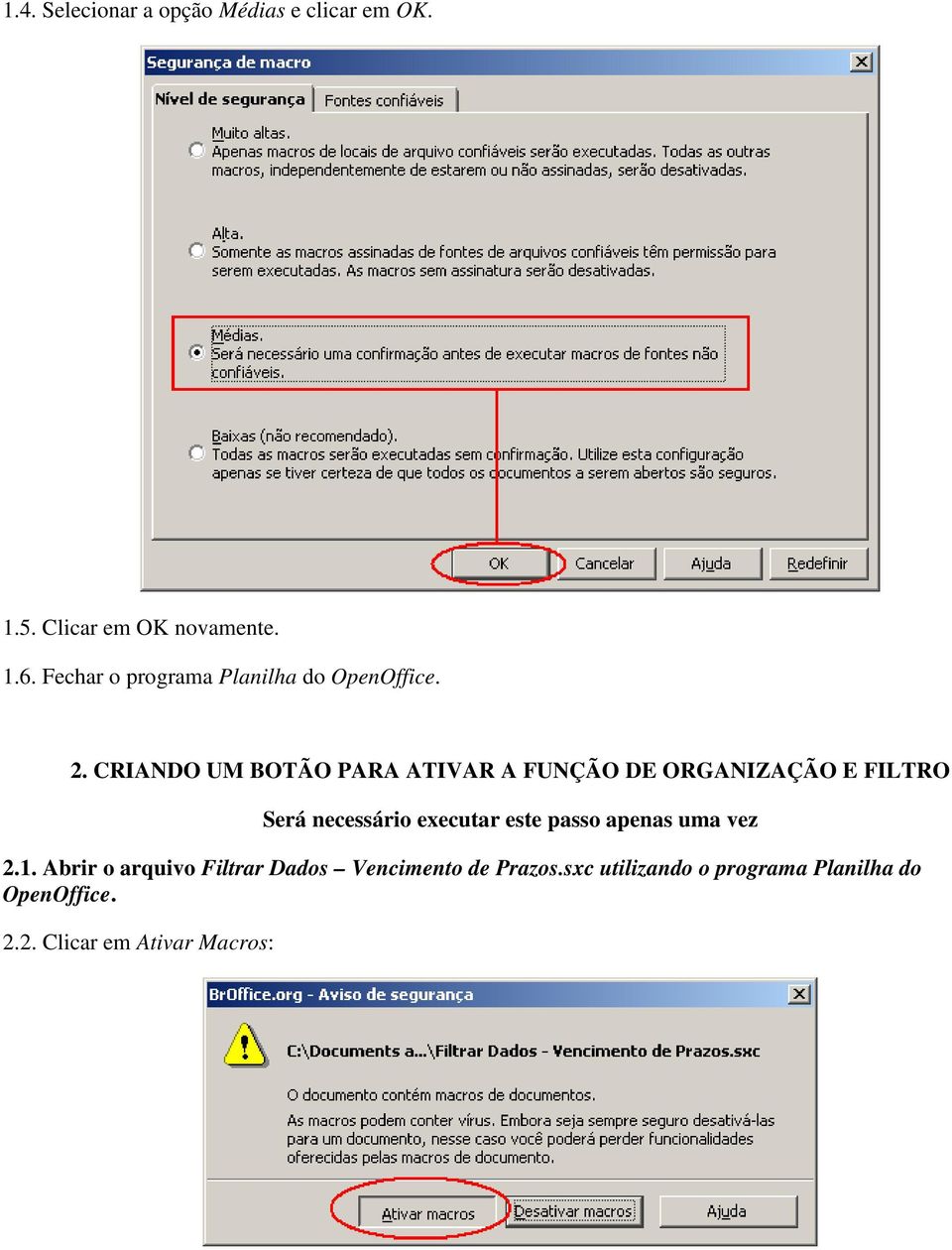 CRIANDO UM BOTÃO PARA ATIVAR A FUNÇÃO DE ORGANIZAÇÃO E FILTRO Será necessário executar este