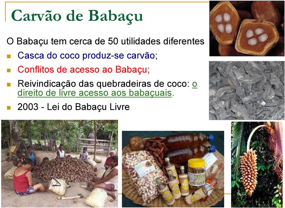 acesso ao Babaçu; Reivindicação das quebradeiras de coco: