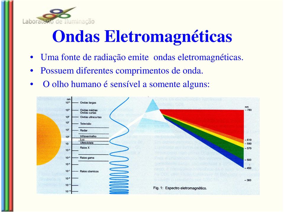 Possuem diferentes comprimentos de onda.