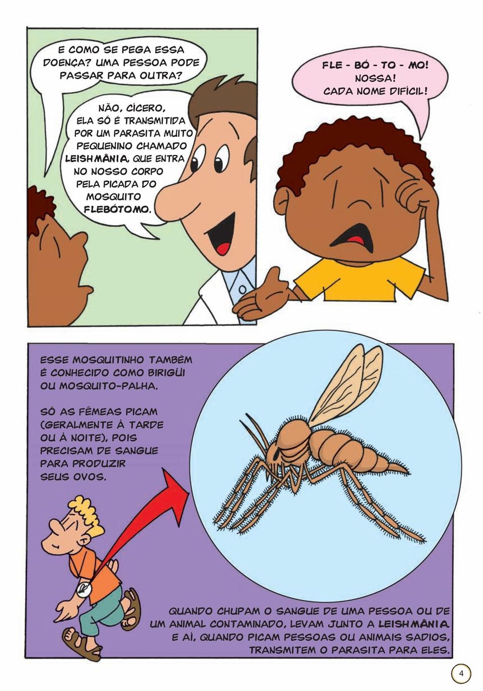 FLE BÓ TO MO! Nossa! Cada nome difícil! Esse mosquitinho também é conhecido como birigüi ou mosquito-palha.
