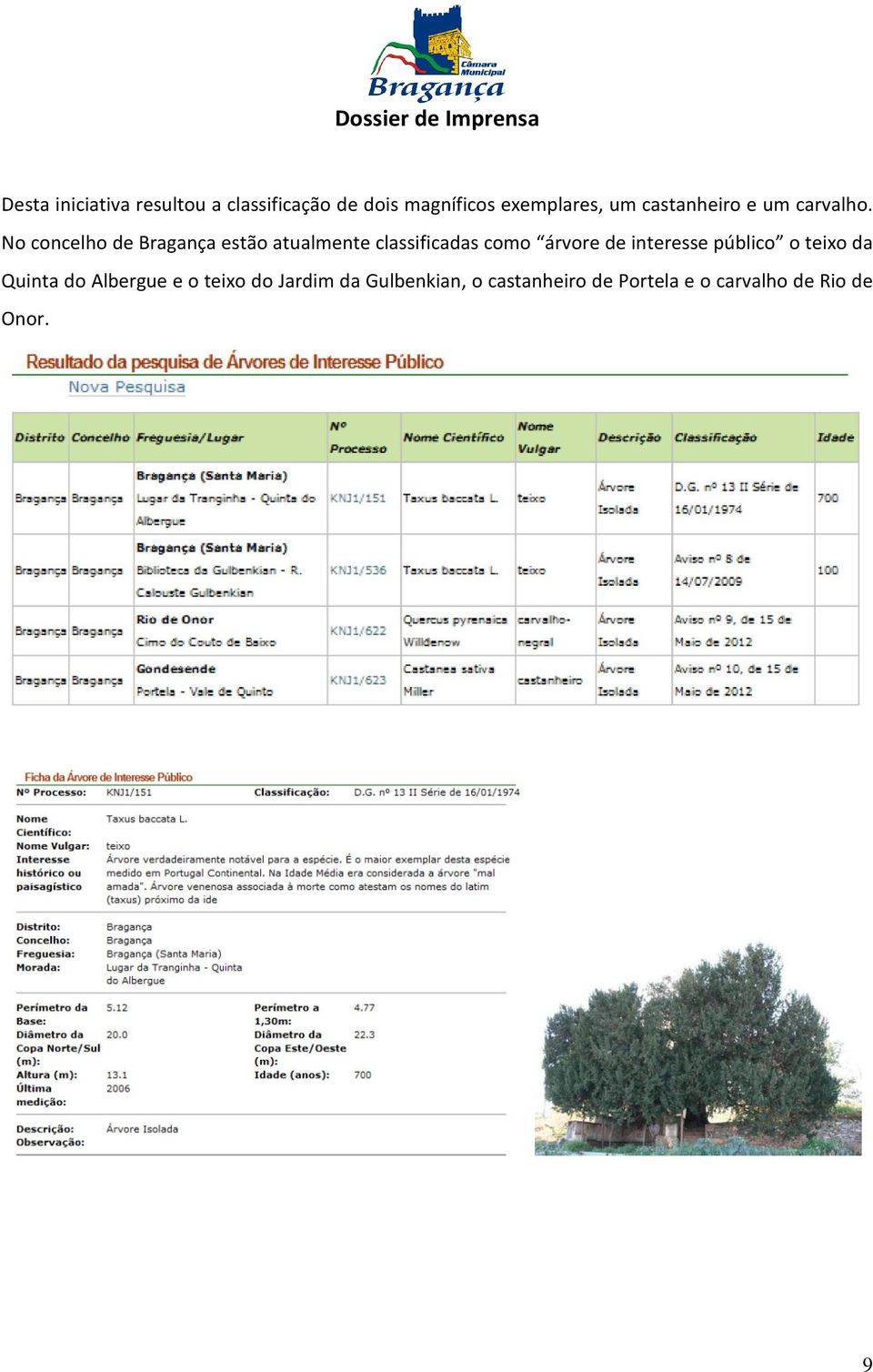 No concelho de Bragança estão atualmente classificadas como árvore de