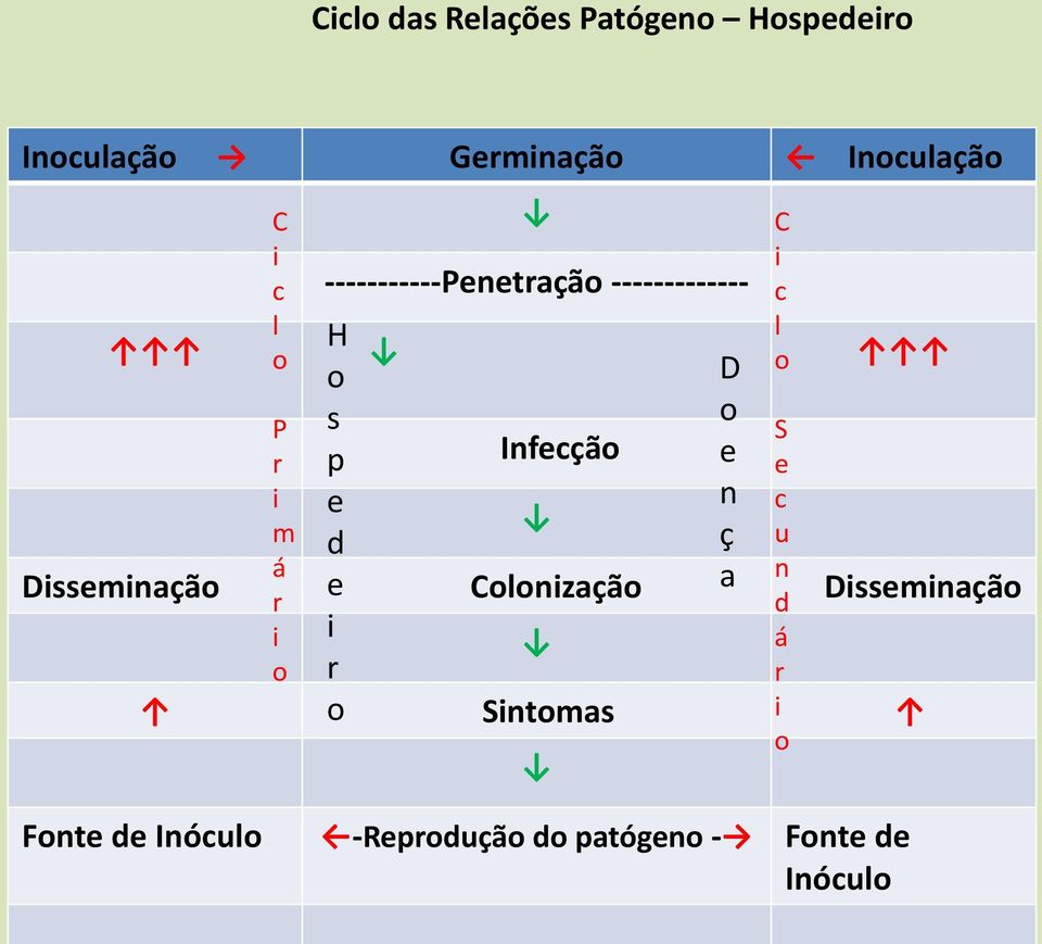 Infecção Colonização Sintomas Fonte de Inóculo Inoculação D o e n ç a C i c l