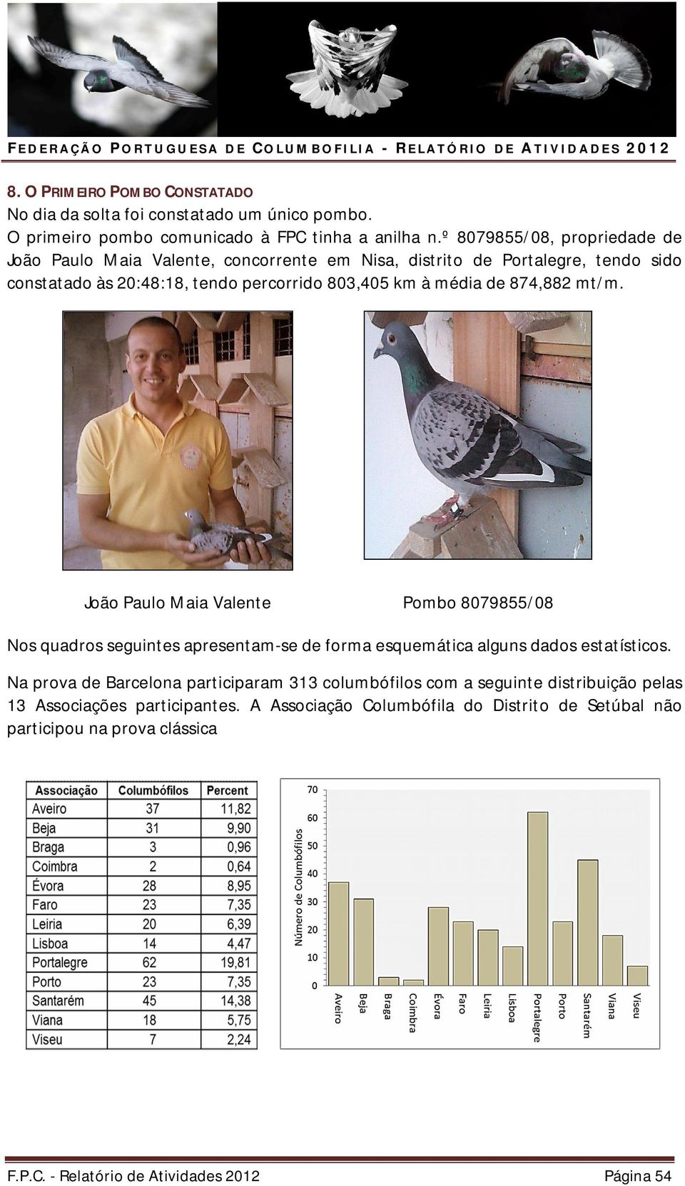 de 874,882 mt/m. João Paulo Maia Valente Pombo 8079855/08 Nos quadros seguintes apresentam-se de forma esquemática alguns dados estatísticos.