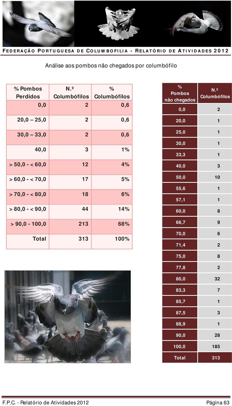 5% > 70,0 - < 80,0 18 6% > 80,0 - < 90,0 44 14% > 90,0-100,0 213 68% Total 313 100% % Pombos não chegados N.