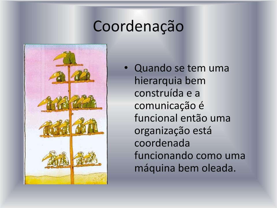 funcional então uma organização está