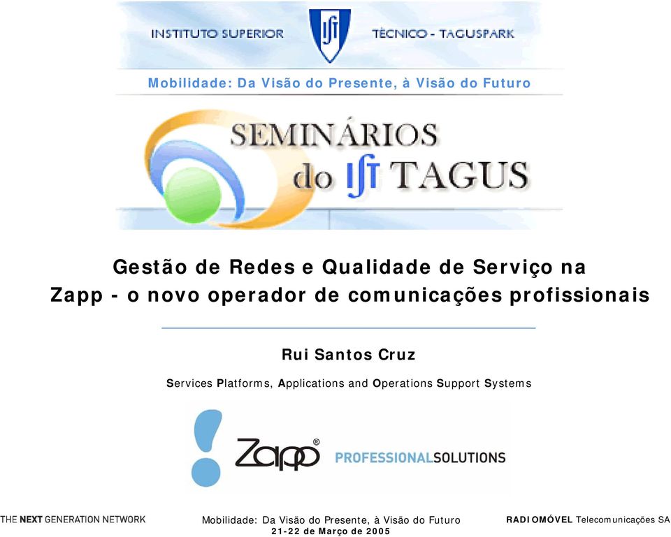 profissionais Rui Santos Cruz Services