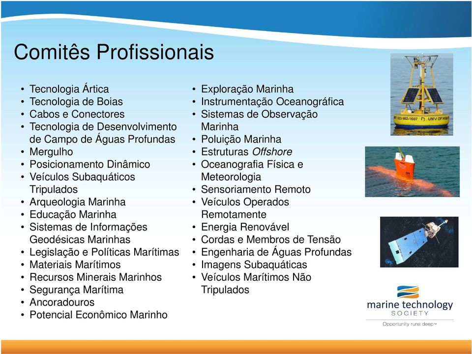 Segurança Marítima Ancoradouros Potencial Econômico Marinho Exploração Marinha Instrumentação Oceanográfica Sistemas de Observação Marinha Poluição Marinha Estruturas Offshore Oceanografia