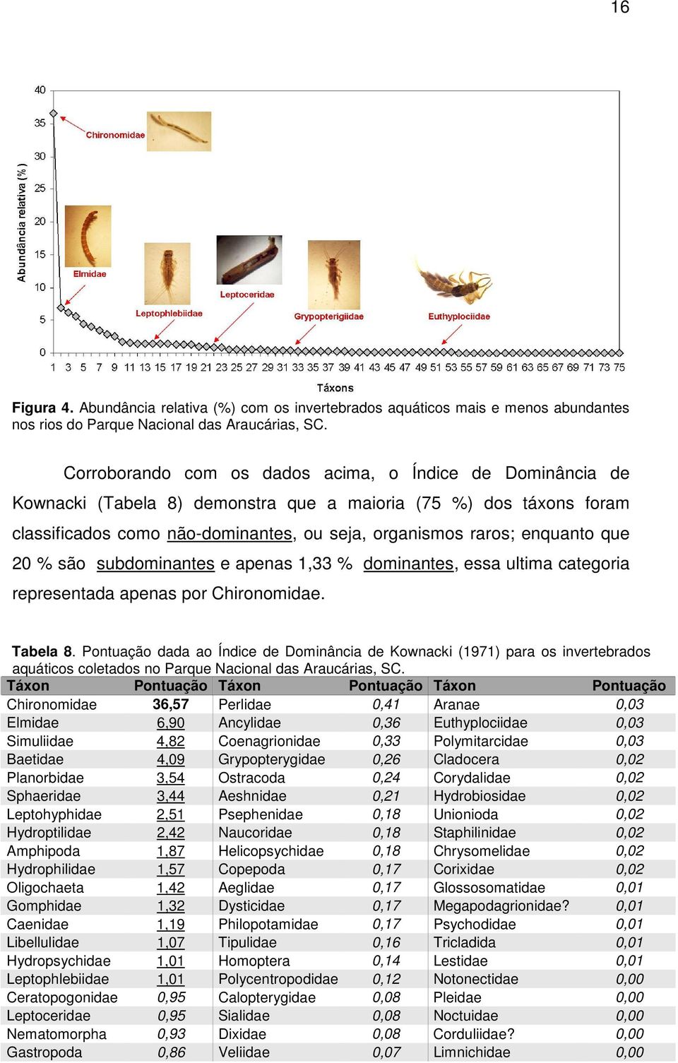 que 20 % são subdominantes e apenas 1,33 % dominantes, essa ultima categoria representada apenas por Chironomidae. Tabela 8.