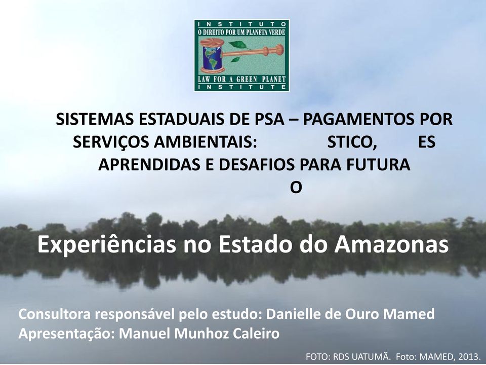 Estado do Amazonas Consultora responsável pelo estudo: Danielle de