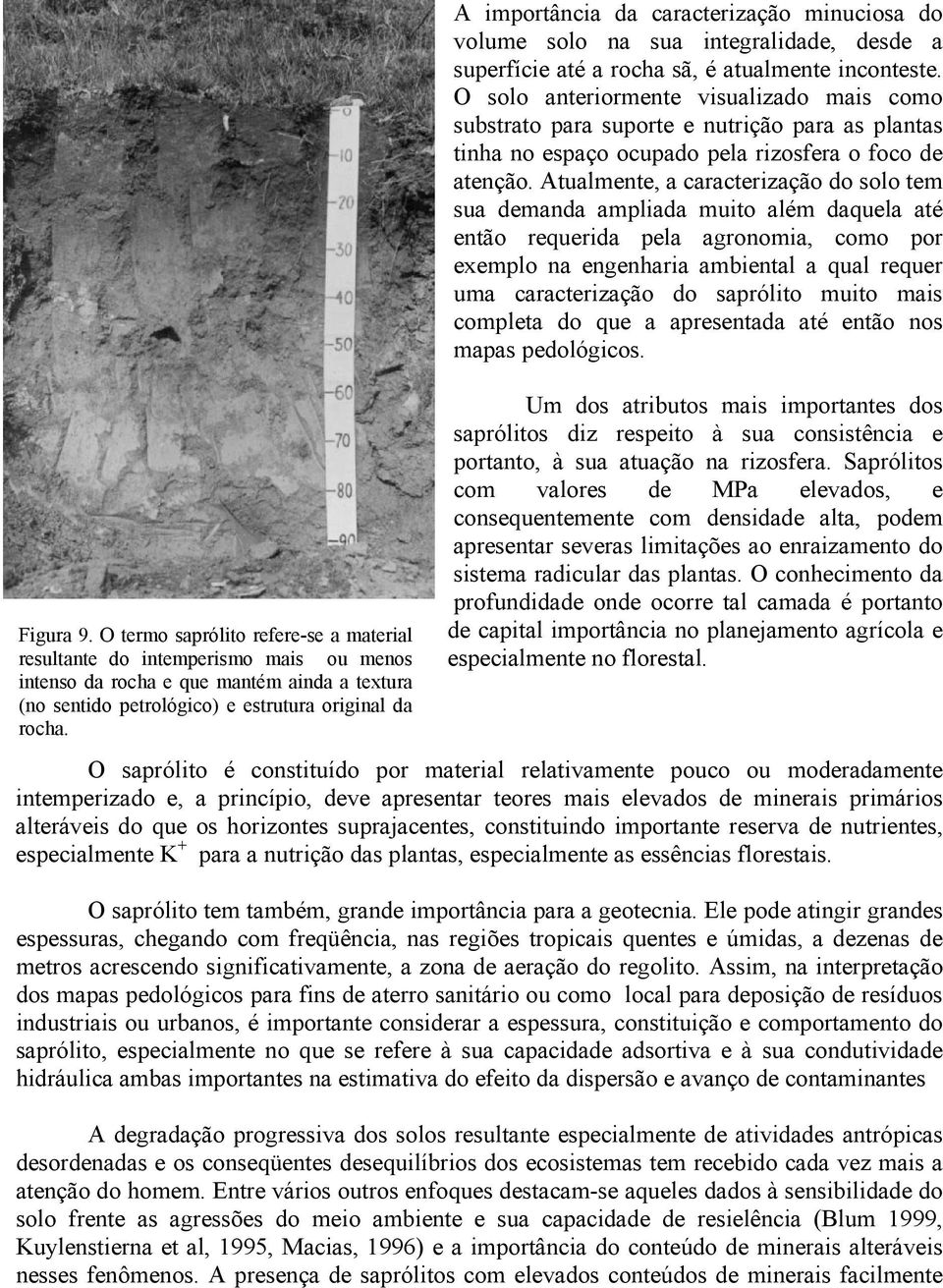 O solo anteriormente visualizado mais como substrato para suporte e nutrição para as plantas tinha no espaço ocupado pela rizosfera o foco de atenção.