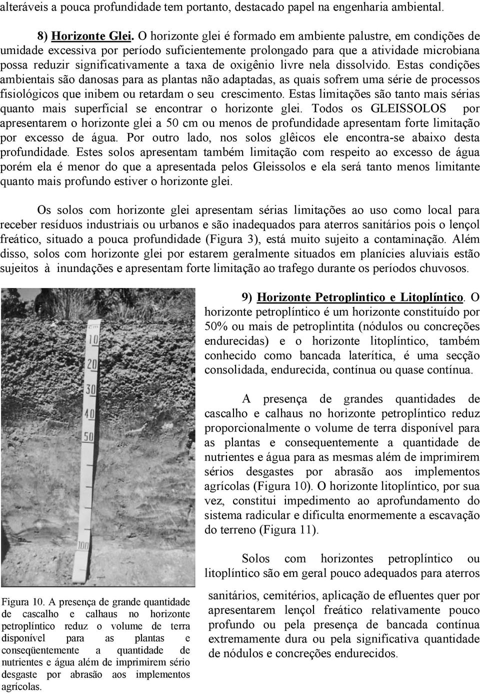 oxigênio livre nela dissolvido. Estas condições ambientais são danosas para as plantas não adaptadas, as quais sofrem uma série de processos fisiológicos que inibem ou retardam o seu crescimento.