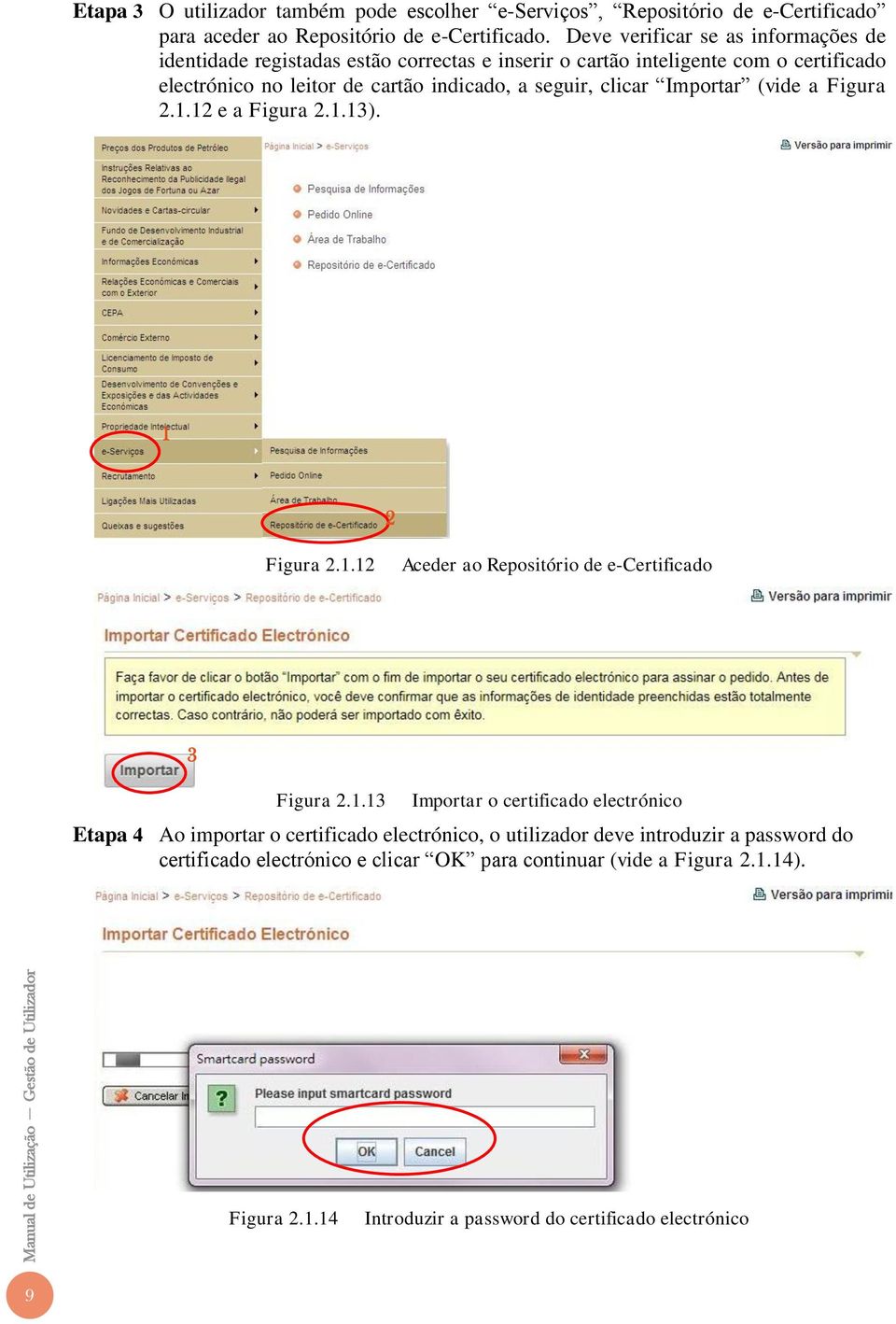 Importar (vide a Figura 2.1.